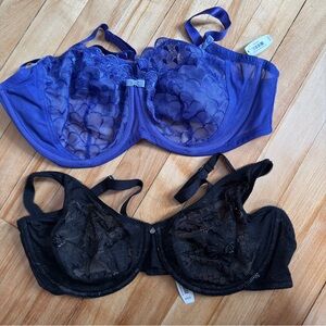 Adore Me Lace Underwire Bras - Vibrant Purple/Black Bundle lot 2 NEW 40DD